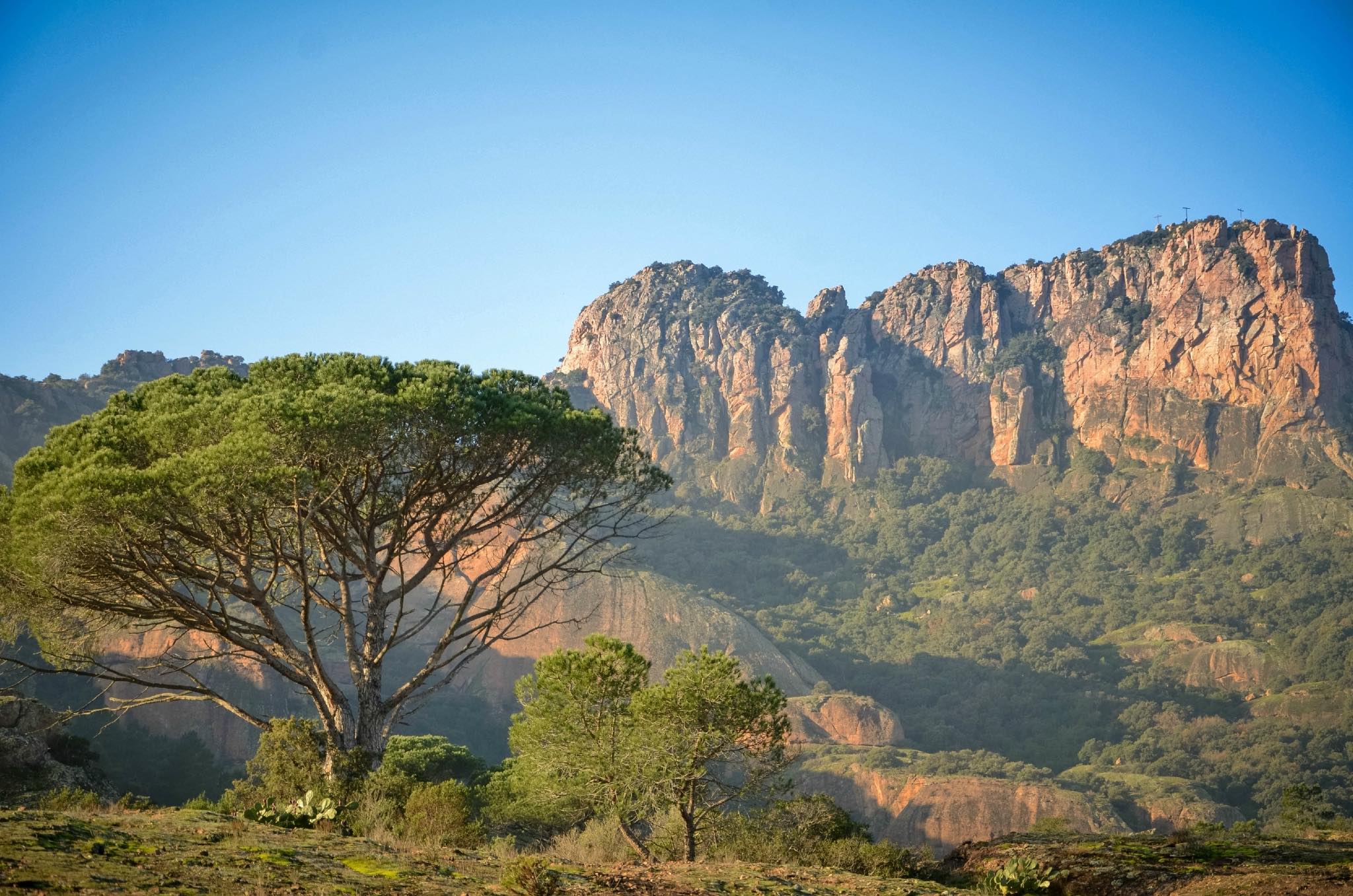 Le rocher de Roquebrune