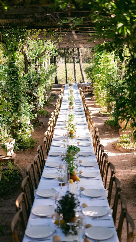 table dressée sous les glycines